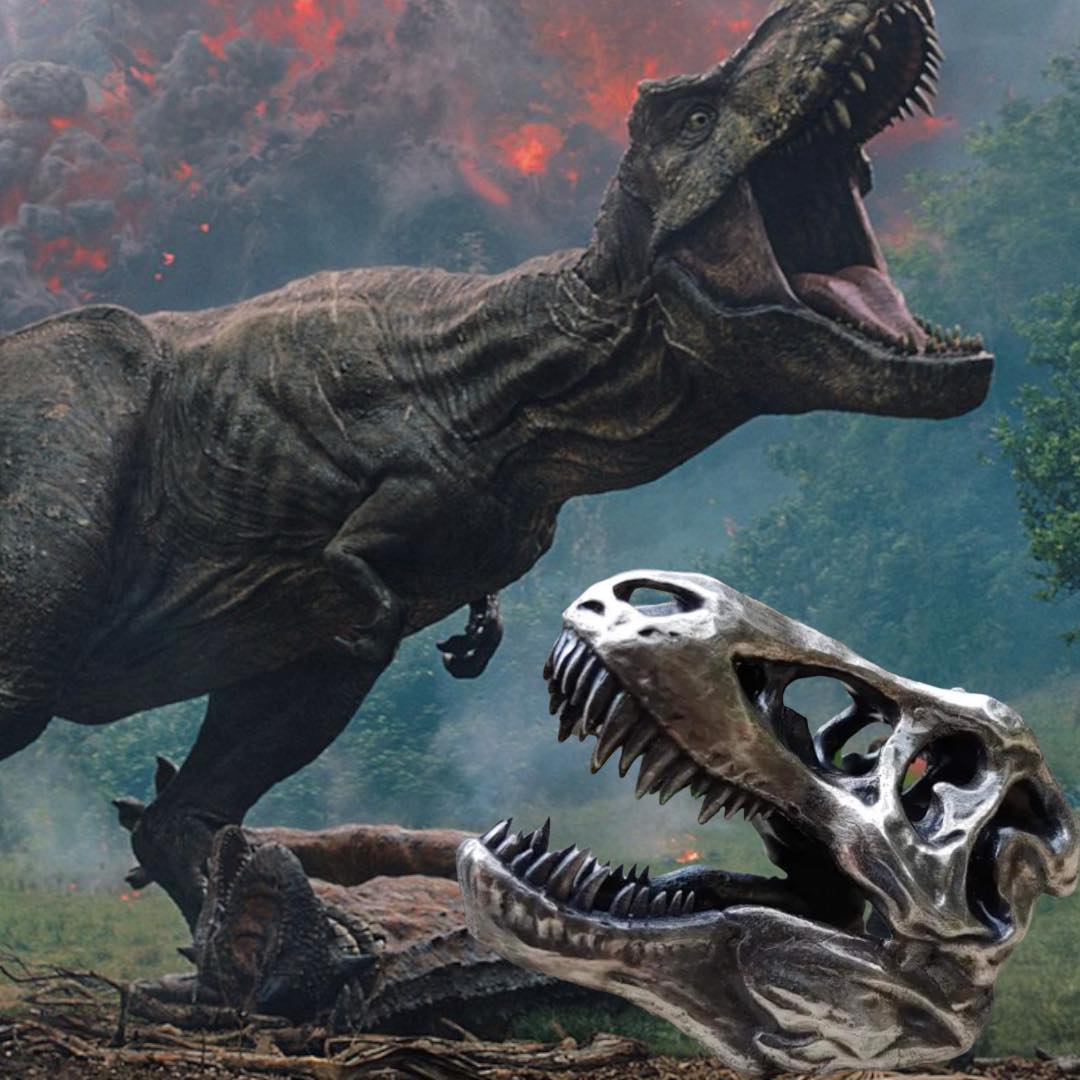 t rex skull