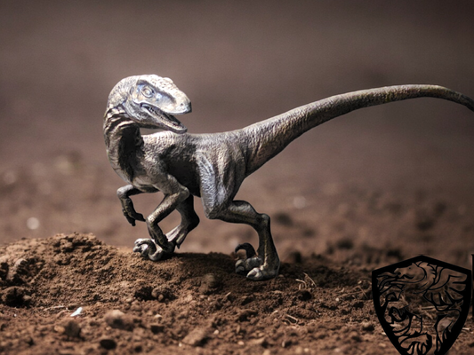 Velociraptor